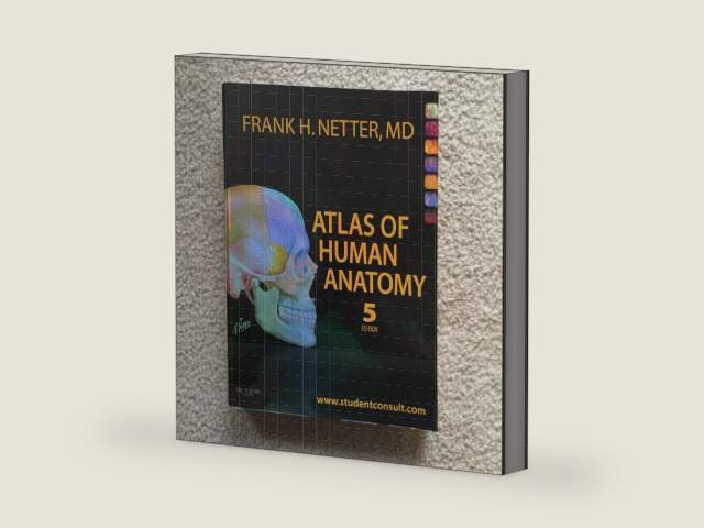 Atlas of Human Anatomy: with Student Consult Access (Netter Basic Science) by Frank H. Netter MD | barcode:9781416059516 | source:'9781416059516-right-three-quarter.jpg
