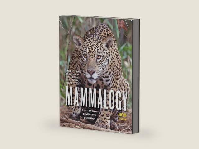 Mammalogy: Adaptation, Diversity, Ecology by George A. Feldhamer | barcode:9781421436524 | source:'9781421436524-right-three-quarter.jpg