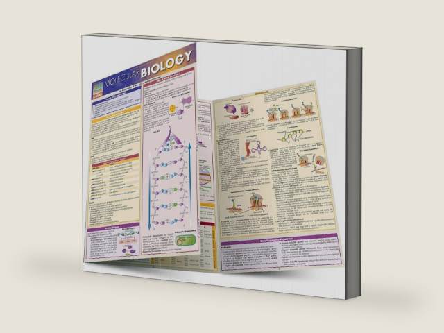 Molecular Biology: a QuickStudy Laminated Reference Guide by Randy Brooks PhD | barcode:9781423218739 | source:'9781423218739-right-three-quarter.jpg