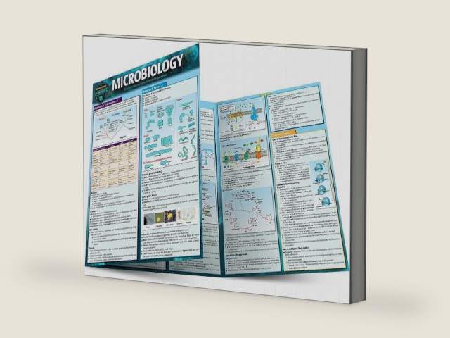 Microbiology: a QuickStudy Laminated Reference Guide (Quick Study Academic) by Inc. BarCharts Publishing | barcode:9781423233190 | source:'9781423233190-right-three-quarter.jpg