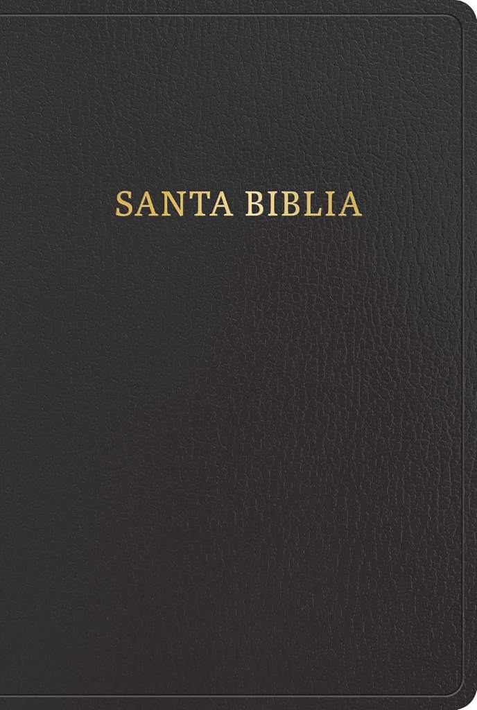 RVR 1960 Biblia letra gigante, negro imitación piel con índice (Edición 2023): Santa Biblia (Spanish Edition) by B&H Español Editorial Staff | barcode:9781430091929 | source:'9781430091929.jpg