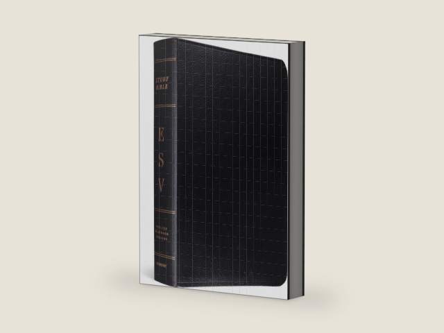 ESV Study Bible (Bonded Leather, Black) by ESV Bibles | barcode:9781433502453 | source:'9781433502453-right-three-quarter.jpg