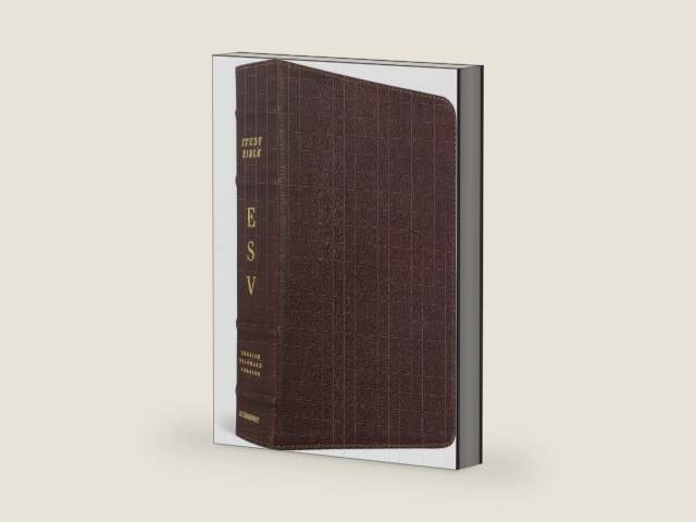 ESV Study Bible (Cowhide, Deep Brown) by ESV Bibles | barcode:9781433521782 | source:'9781433521782-right-three-quarter.jpg