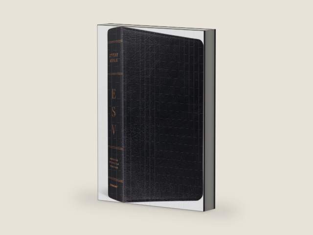 ESV Study Bible (Black, Indexed) by ESV Bibles | barcode:9781433544064 | source:'9781433544064-right-three-quarter.jpg