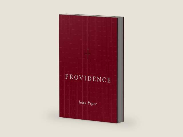 Providence by John Piper | barcode:9781433568343 | source:'9781433568343-right-three-quarter.jpg