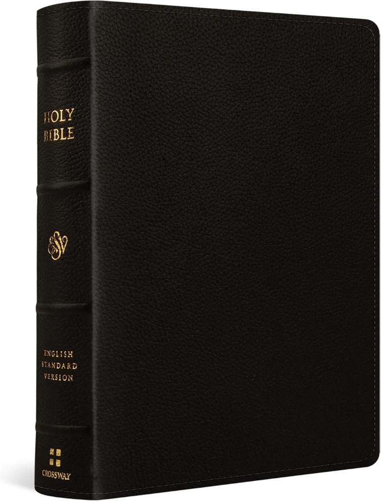 ESV Single Column Journaling Bible, Large Print (Buffalo Leather, Deep Brown): Holy Bible, English Standard Version by ESV Bibles | barcode:9781433570919 | source:'9781433570919.jpg