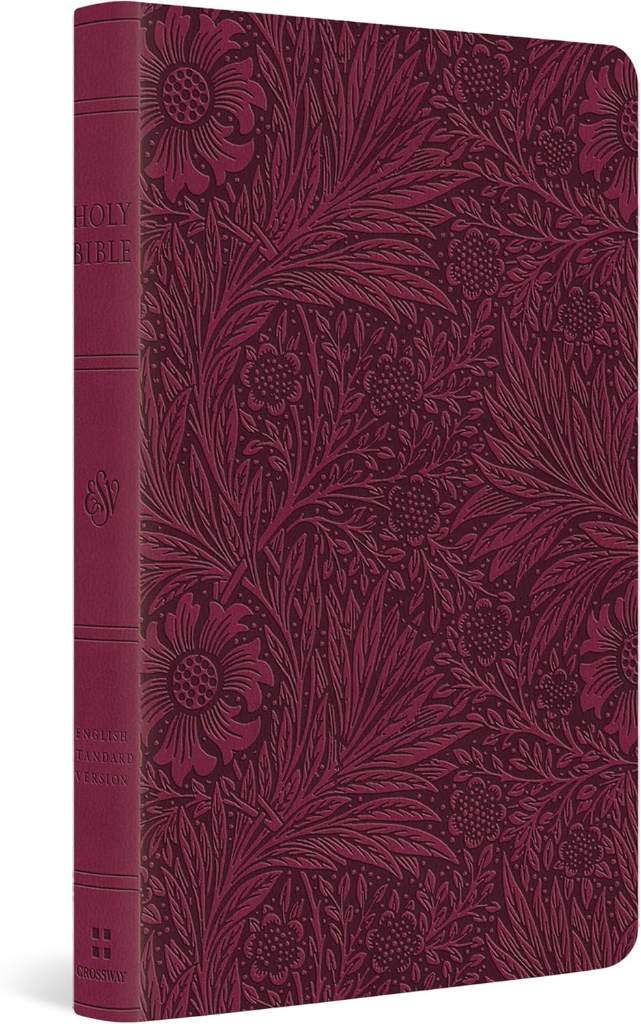ESV Large Print Value Thinline Bible (TruTone, Raspberry, Floral Design): Holy Bible, English Standard Version by ESV Bibles | barcode:9781433582509 | source:'9781433582509.jpg