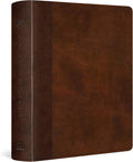 ESV Journaling Study Bible (TruTone, Brown/Chestnut, Timeless Design): Holy Bible, English Standard Version by ESV Bibles | barcode:9781433590450 | source:'9781433590450.jpg