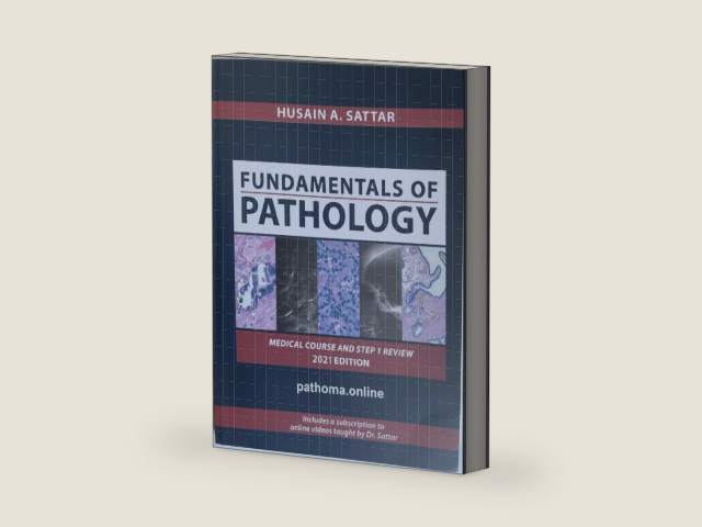 PATHOMA2021, Fundamental of Pathology For USMLE and Medical School, International Edition By Dr Satar by Dr Satar | barcode:9781435768208 | source:'9781435768208-right-three-quarter.jpg