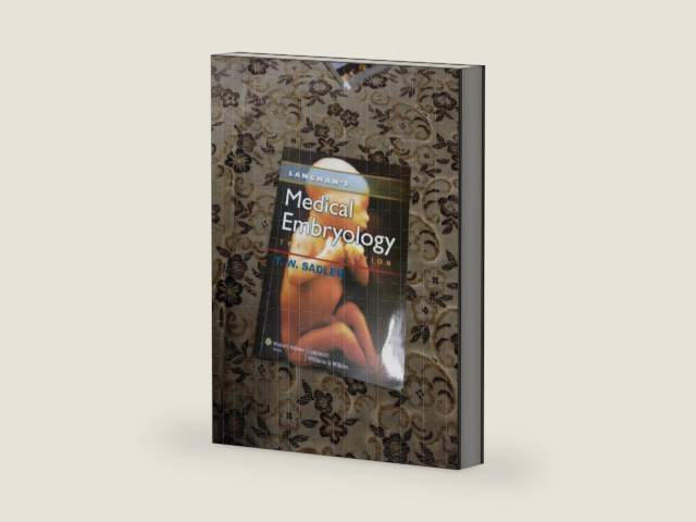 Langman's Medical Embryology by Ph.D. Sadler, T. W. | barcode:9781451113426 | source:'9781451113426-right-three-quarter.jpg