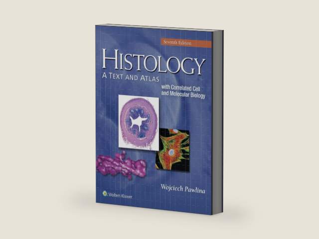 Histology: A Text and Atlas: With Correlated Cell and Molecular Biology by Ph.D. Ross, Michael H. | barcode:9781451187427 | source:'9781451187427-right-three-quarter.jpg