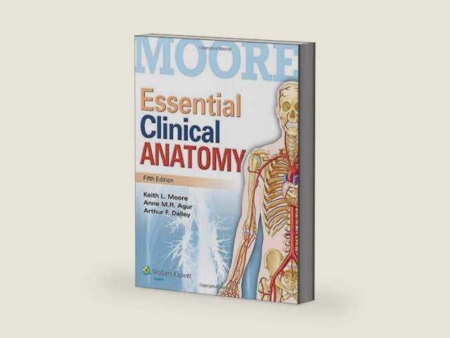 Moore Essential Clinical Anatomy by M.D. Moore, Keith L. | barcode:9781451187496 | source:'9781451187496-right-three-quarter.jpg