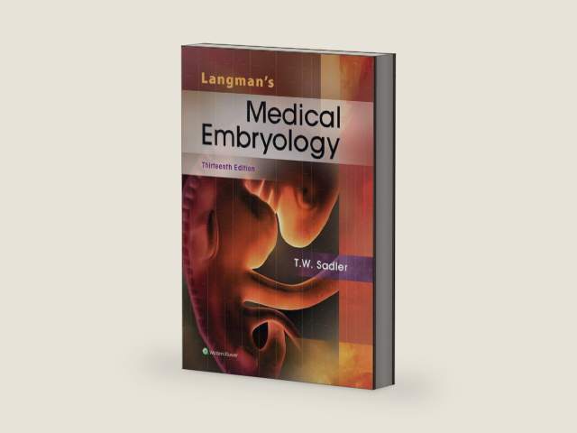 Langman's Medical Embryology by Ph.D. Sadler, T. W. | barcode:9781451191646 | source:'9781451191646-right-three-quarter.jpg