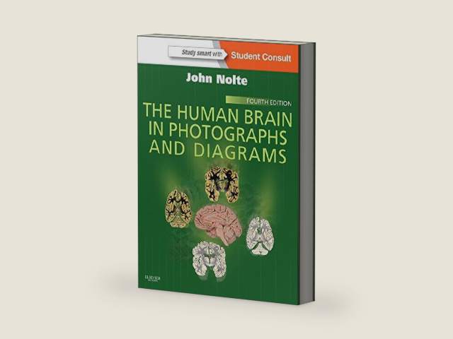 The Human Brain in Photographs and Diagrams: With STUDENT CONSULT Online Access by John Nolte PhD PhD | barcode:9781455709618 | source:'9781455709618-right-three-quarter.jpg