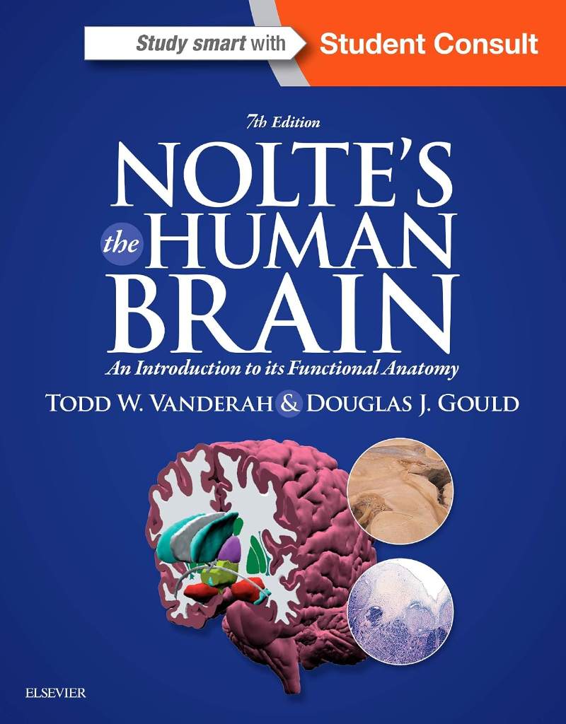 Nolte's The Human Brain: An Introduction to its Functional Anatomy by Todd W. Vanderah PhD - 9781455728596