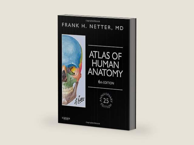 Atlas of Human Anatomy, Professional Edition: including NetterReference.com Access with Full Downloadable Image Bank (Netter Basic Science) by Frank H. Netter MD | barcode:9781455758883 | source:'9781455758883-right-three-quarter.jpg