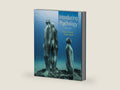 Introducing Psychology by Daniel L. Schacter | barcode:9781464155543 | source:'9781464155543-right-three-quarter.jpg