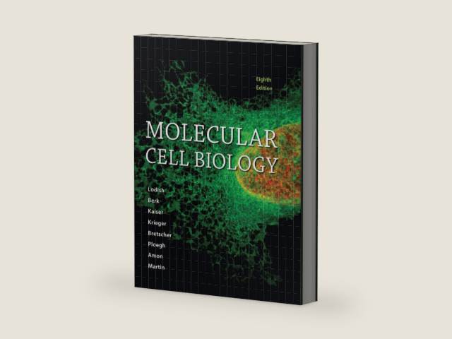 Molecular Cell Biology by Harvey Lodish | barcode:9781464183393 | source:'9781464183393-right-three-quarter.jpg