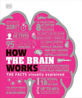 How the Brain Works: The Facts Visually Explained (DK How Stuff Works) by DK | barcode:9781465489791 | source:'9781465489791.jpg