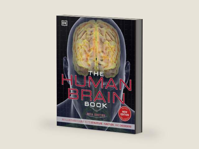 The Human Brain Book: An Illustrated Guide to its Structure, Function, and Disorders (DK Human Body Guides) by Rita Carter | barcode:9781465499523 | source:'9781465499523-right-three-quarter.jpg