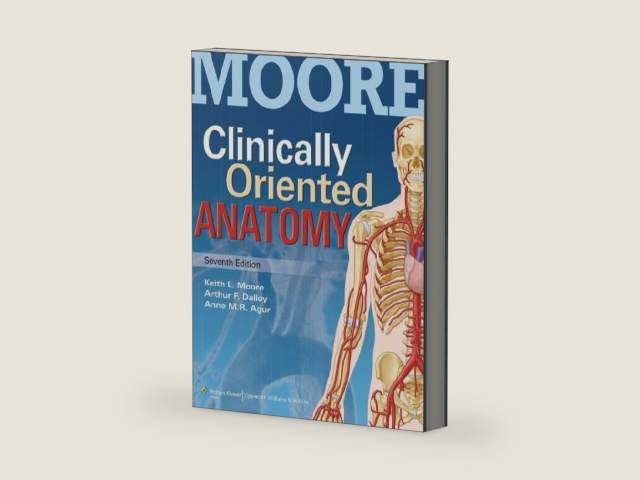 Moore Clinically Oriented Anatomy by Ph.D. Moore, Keith L. | barcode:9781469830063 | source:'9781469830063-right-three-quarter.jpg