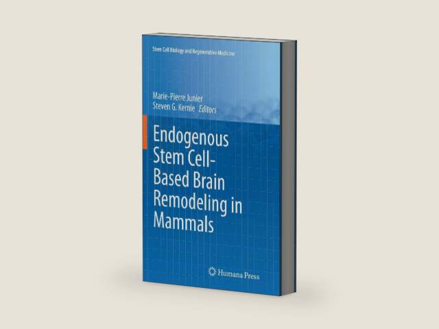 Endogenous Stem Cell-Based Brain Remodeling in Mammals (Stem Cell Biology and Regenerative Medicine) by Marie-Pierre Junier | barcode:9781489978431 | source:'9781489978431-right-three-quarter.jpg