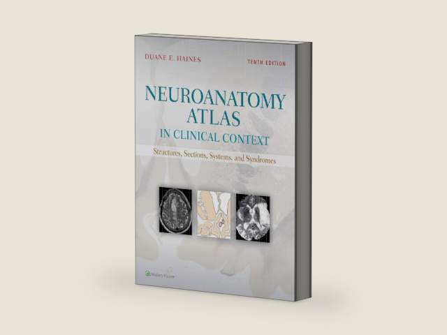 Neuroanatomy Atlas in Clinical Context: Structures, Sections, Systems, and Syndromes by Duane E. Haines PhD | barcode:9781496384164 | source:'9781496384164-right-three-quarter.jpg