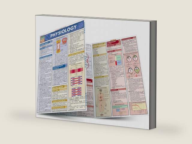 Physiology: QuickStudy Laminated Reference Guide (QuickStudy Academic) by W Randy Brooks | barcode:9781572227910 | source:'9781572227910-right-three-quarter.jpg