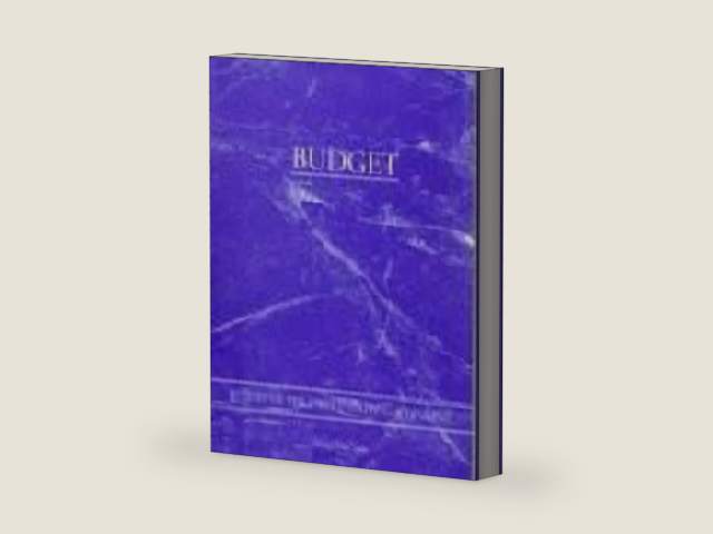 Budget of the United States Government: Fiscal Year 1999 by Claitors Publishing Division | barcode:9781579801854 | source:'9781579801854-right-three-quarter.jpg