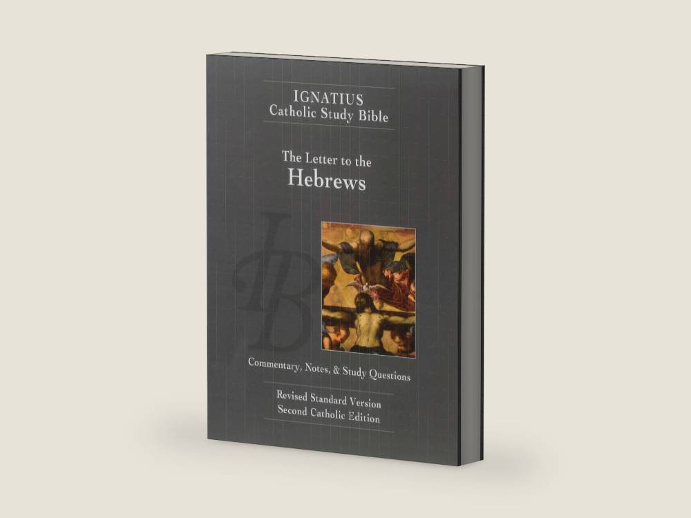 The Letter to the Hebrews (Ignatius Catholic Study Bible) by Scott Hahn | barcode:9781586174682 | source:'9781586174682-right-three-quarter.jpg