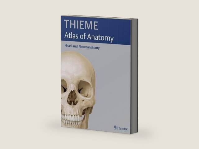 Head and Neuroanatomy (THIEME Atlas of Anatomy) (THIEME Atlas of Anatomy Series) by Michael Schuenke | barcode:9781588903617 | source:'9781588903617-right-three-quarter.jpg