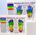 Set: 2 CHARTS: REFLEXOLOGIA de PIES & MANOS-Arco Iris® Codificada (SPANISH REFLEXOLOGY- Rainbow® FOOT & HAND Acupressure Massage- Spanish Edition). ... 8.5x11 in. (Small Poster/ Large Cards) by Yshkeyna Hamilla MA. | barcode:9781589243729 | source:'9781589243729.jpg