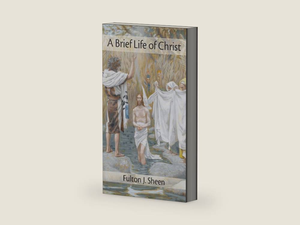 Brief Life of Christ by Fulton J Sheen | barcode:9781621385653 | source:'9781621385653-right-three-quarter.jpg