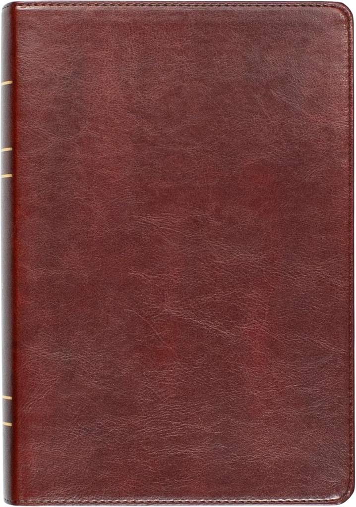 LSB Holy Bible, Large Print, Reddish-Brown Imitation Leather: Legacy Standard Bible in a Single-Column, Wide-Margin, Lay-Flat, Red Letter with 2 Ribbon Markers, 40 GSM Paper & Gold Gilded Pages by Steadfast Bibles | barcode:9781636640723 | source:'9781636640723.jpg