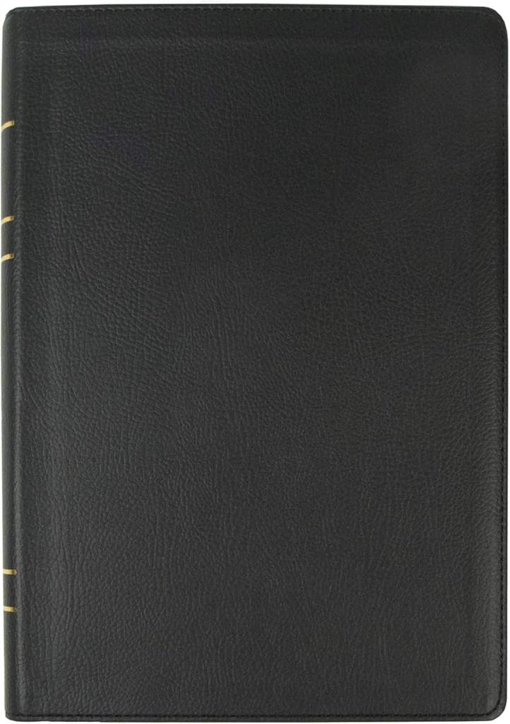 LSB Holy Bible, Large Print, Black Imitation Leather: Legacy Standard Bible in a Single-Column, Wide-Margin, Lay-Flat, Red Letter Format with 2 Ribbon Markers, 40 GSM Paper & Gold Gilded Page Edges by Steadfast Bibles | barcode:9781636641546 | source:'9781636641546.jpg