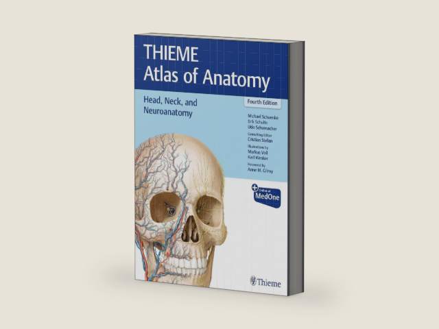 Head, Neck, and Neuroanatomy (THIEME Atlas of Anatomy) by Michael Schuenke | barcode:9781684205943 | source:'9781684205943-right-three-quarter.jpg