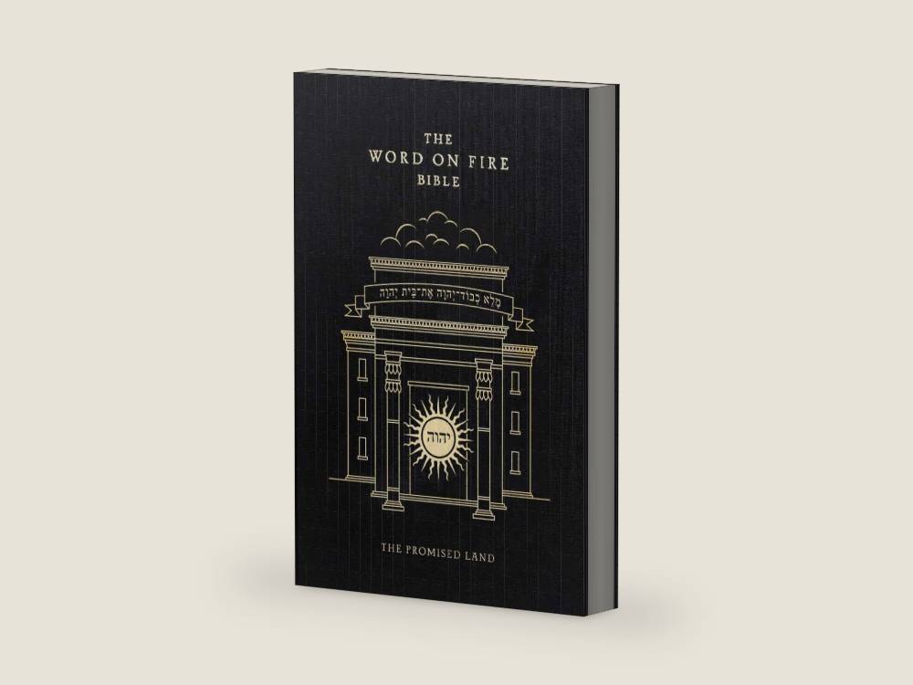 The Word on Fire Bible (Volume IV): The Promised Land (Hardcover) (Word on Fire Bible Series) by Robert Barron | barcode:9781685780999 | source:'9781685780999-right-three-quarter.jpg