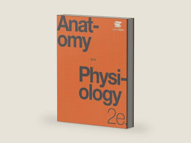 Anatomy and Physiology 2e by OpenStax (Official Print Version, paperback version, B&W), pack of 1 and 2 by Betts et al | barcode:9781711494050 | source:'9781711494050-right-three-quarter.jpg