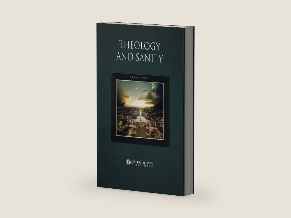 Theology and Sanity by Frank Sheed | barcode:9781783794997 | source:'9781783794997-right-three-quarter.jpg