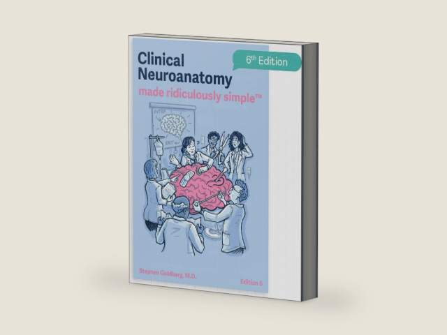 Clinical Neuroanatomy Made Ridiculously Simple: Color Edition by Stephen Goldberg M.D. | barcode:9781935660514 | source:'9781935660514-right-three-quarter.jpg