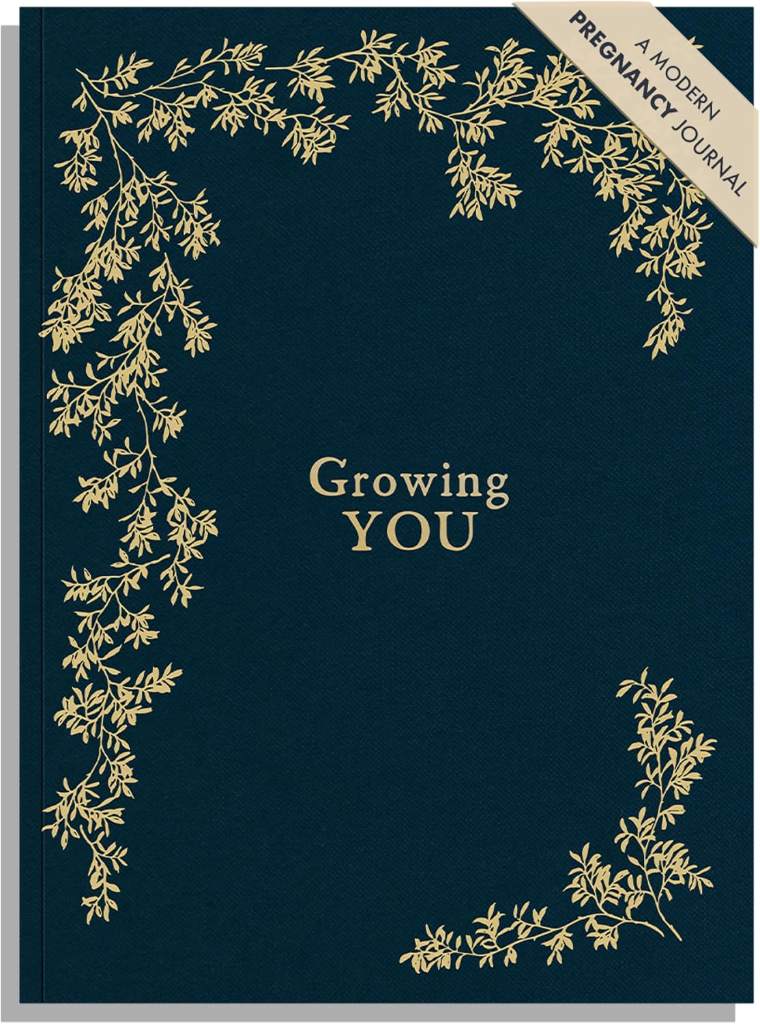 Growing You: Keepsake Pregnancy Journal and Memory Book for Mom and Baby (Heirloom Story Books and Guided Journals) by Korie Herold | barcode:9781944515973 | source:'9781944515973.jpg