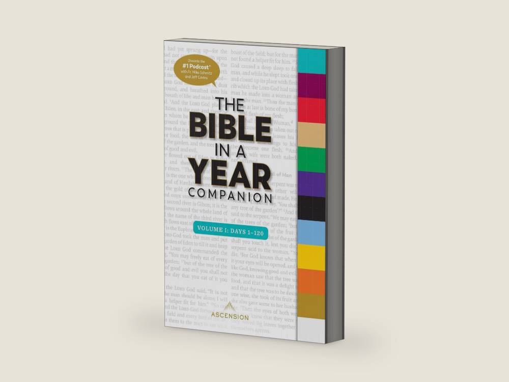 The Bible in a Year Companion, Volume I by Fr. Mike Schmitz | barcode:9781950784998 | source:'9781950784998-right-three-quarter.jpg