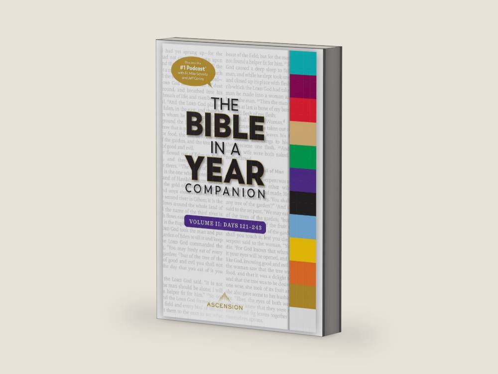 The Bible in a Year Companion, Volume II by Fr. Mike Schmitz | barcode:9781954881150 | source:'9781954881150-right-three-quarter.jpg