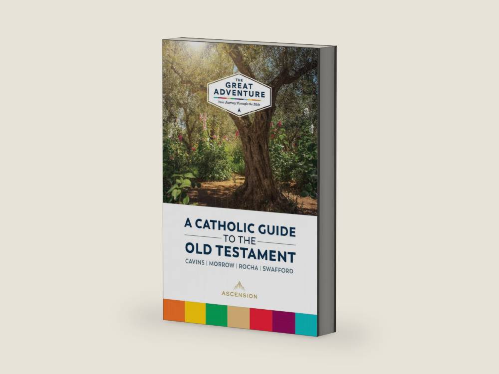 A Catholic Guide to the Old Testament (Great Adventure: Your Journey Through the Bible) by Jeff Cavins | barcode:9781954881877 | source:'9781954881877-right-three-quarter.jpg