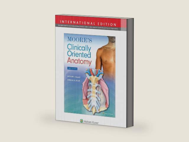 Moore's Clinically Oriented Anatomy by Arthur F. Dalley II PhD FAAA | barcode:9781975154127 | source:'9781975154127-right-three-quarter.jpg