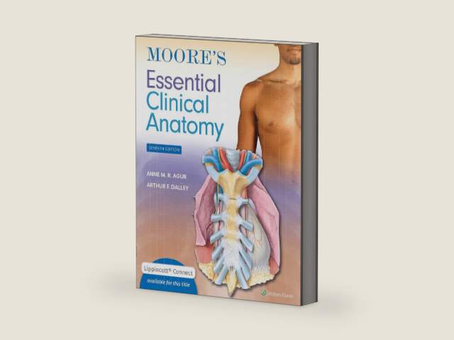 Moore's Essential Clinical Anatomy (Lippincott Connect) by Anne M. R. Agur BSc (OT) MSc PhD FAAA | barcode:9781975174248 | source:'9781975174248-right-three-quarter.jpg