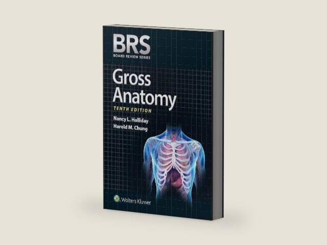BRS Gross Anatomy (Board Review Series) by Dr. Nancy L. Halliday PhD | barcode:9781975181376 | source:'9781975181376-right-three-quarter.jpg