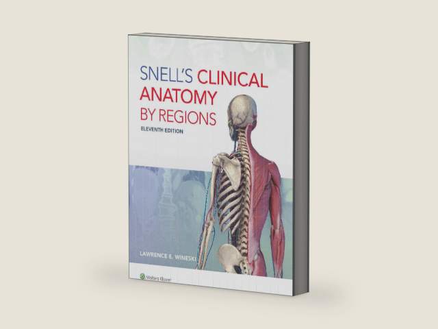 Snell's Clinical Anatomy by Regions by Dr. Lawrence E. Wineski | barcode:9781975194093 | source:'9781975194093-right-three-quarter.jpg