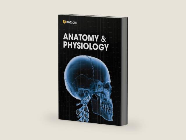 Anatomy & Physiology - Student Edition (3rd Ed) by Lissa Bainbridge-Smith | barcode:9781991014085 | source:'9781991014085-right-three-quarter.jpg
