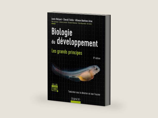 Biologie du développement - Les grands principes: Les grands principes by Lewis Wolpert | barcode:9782100757732 | source:'9782100757732-right-three-quarter.jpg